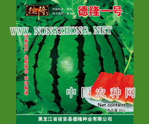 德隆一号
